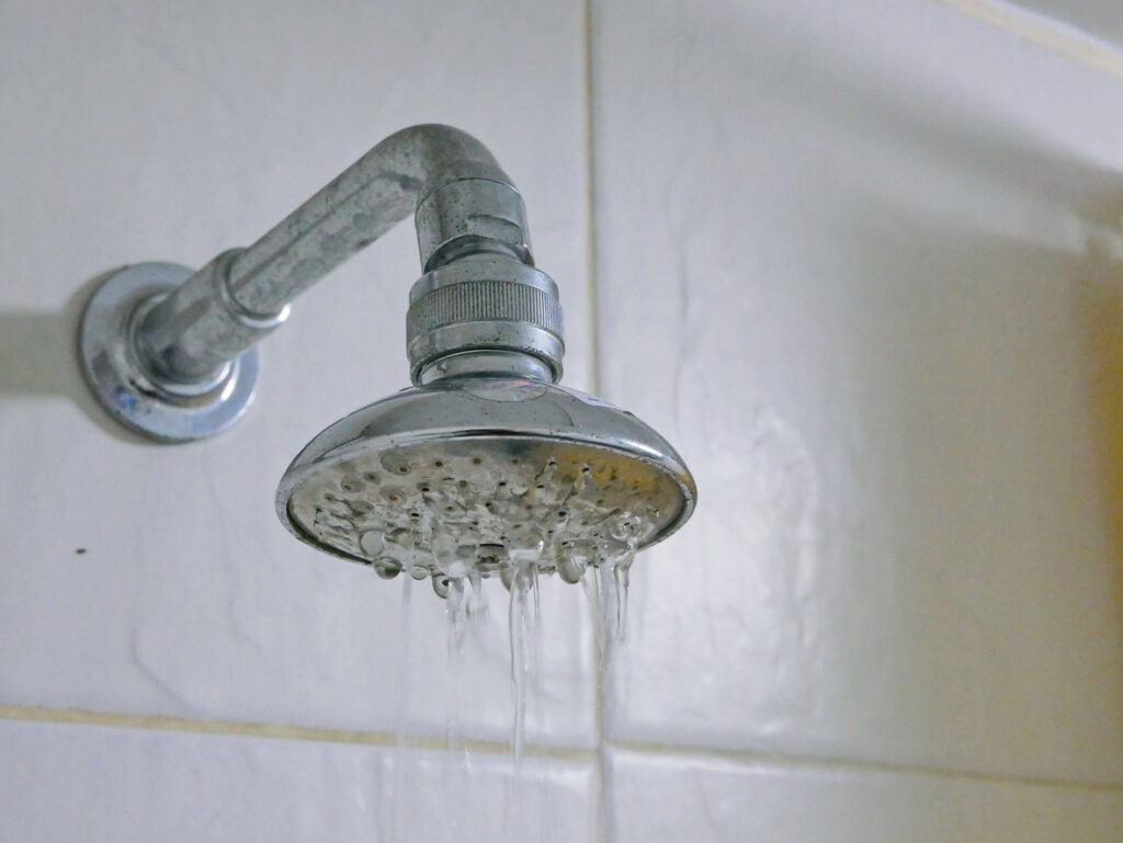Clogged Showerheads Section